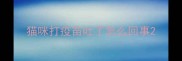 猫咪打疫苗吐了怎么回事