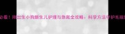 新手必看刚出生小狗新生儿护理与急救全攻略科学方法守护毛孩健康