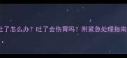 拉布拉多吃撑吐了怎么办吐了会伤胃吗附紧急处理指南附喂食量表