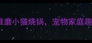 萌宠日常小狗推磨小猫烧锅宠物家庭趣味互动新玩法