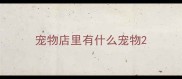宠物店里有什么宠物