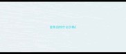 金色边牧什么价格