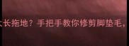金毛脚底毛太长拖地手把手教你修剪脚垫毛附避坑指南
