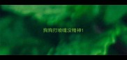 狗狗打喷嚏没精神