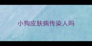 小狗皮肤病传染人吗