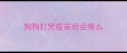 狗狗打完疫苗后会疼么
