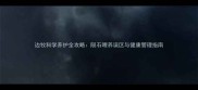 边牧科学养护全攻略陨石喂养误区与健康管理指南