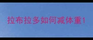 拉布拉多如何减体重