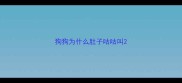 狗狗为什么肚子咕咕叫