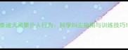 泰迪犬频繁扑人行为科学纠正指南与训练技巧