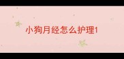 小狗月经怎么护理