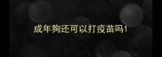 成年狗还可以打疫苗吗