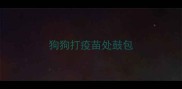狗狗打疫苗处鼓包