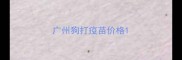 广州狗打疫苗价格