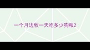 一个月边牧一天吃多少狗粮