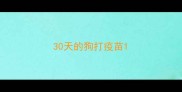 30天的狗打疫苗