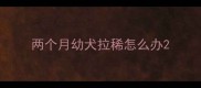 两个月幼犬拉稀怎么办