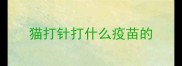 猫打针打什么疫苗的