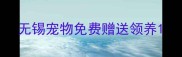 无锡宠物免费赠送领养