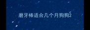 磨牙棒适合几个月狗狗