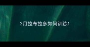 2月拉布拉多如何训练
