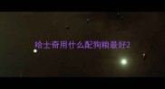 哈士奇用什么配狗粮最好