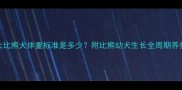 3个月大比熊犬体重标准是多少附比熊幼犬生长全周期养护指南