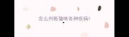 怎么判断猫咪各种疾病
