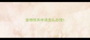 宠物领养申请怎么办理