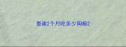 泰迪2个月吃多少狗粮
