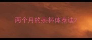 两个月的茶杯体泰迪
