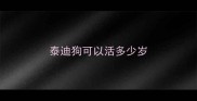 泰迪狗可以活多少岁
