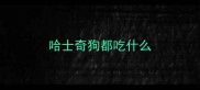哈士奇狗都吃什么