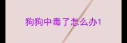 狗狗中毒了怎么办