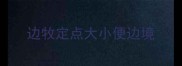 边牧定点大小便边境