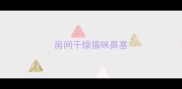 房间干燥猫咪鼻塞