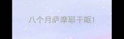 八个月萨摩耶干呕
