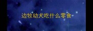 边牧幼犬吃什么零食