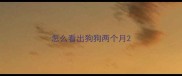 怎么看出狗狗两个月