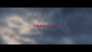 小狗晕车什么反应