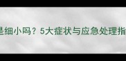 泰迪犬频繁吐狗粮是细小吗5大症状与应急处理指南附兽医建议