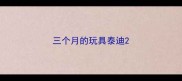 三个月的玩具泰迪