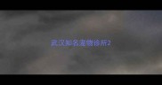 武汉知名宠物诊所