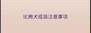 比熊犬疫苗注意事项