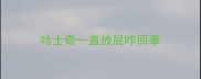 哈士奇一直放屁咋回事