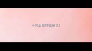 小狗后腿伸直睡觉
