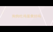 狗狗吃鸡蛋黄好吗