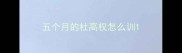 五个月的杜高权怎么训