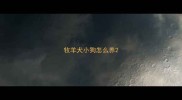 牧羊犬小狗怎么养