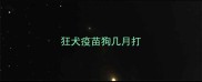 狂犬疫苗狗几月打